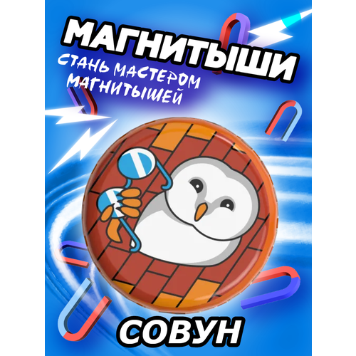 Магнитыш 1 шт Совун