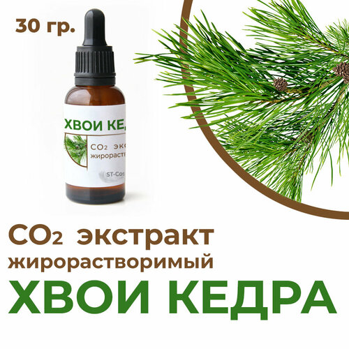фото Со2 экстракт хвои кедра, 30 гр. st-cosmetics