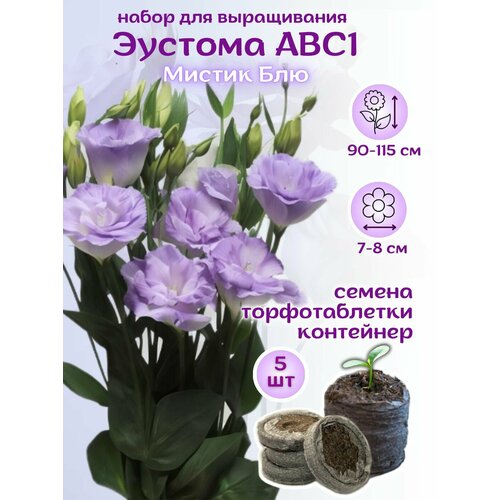 Семена Эустома Мистик Блю сиреневая + торфяные таблетки, 5шт, набор для выращивания