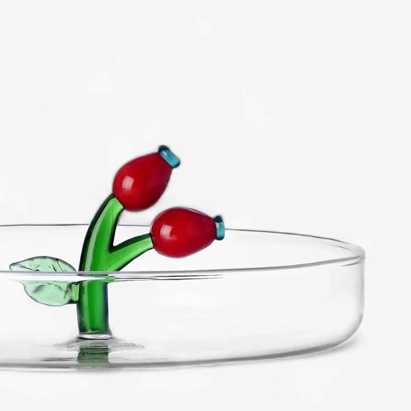 Rosehip Berry Тарелка — фото 1