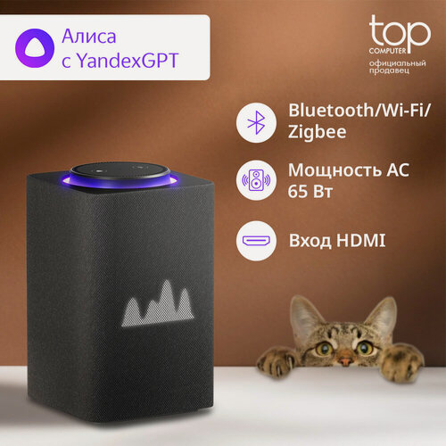 Изображение товара Умная колонка Яндекс Станция Макс с Алисой 65W, Zigbee, BT 10м, графит