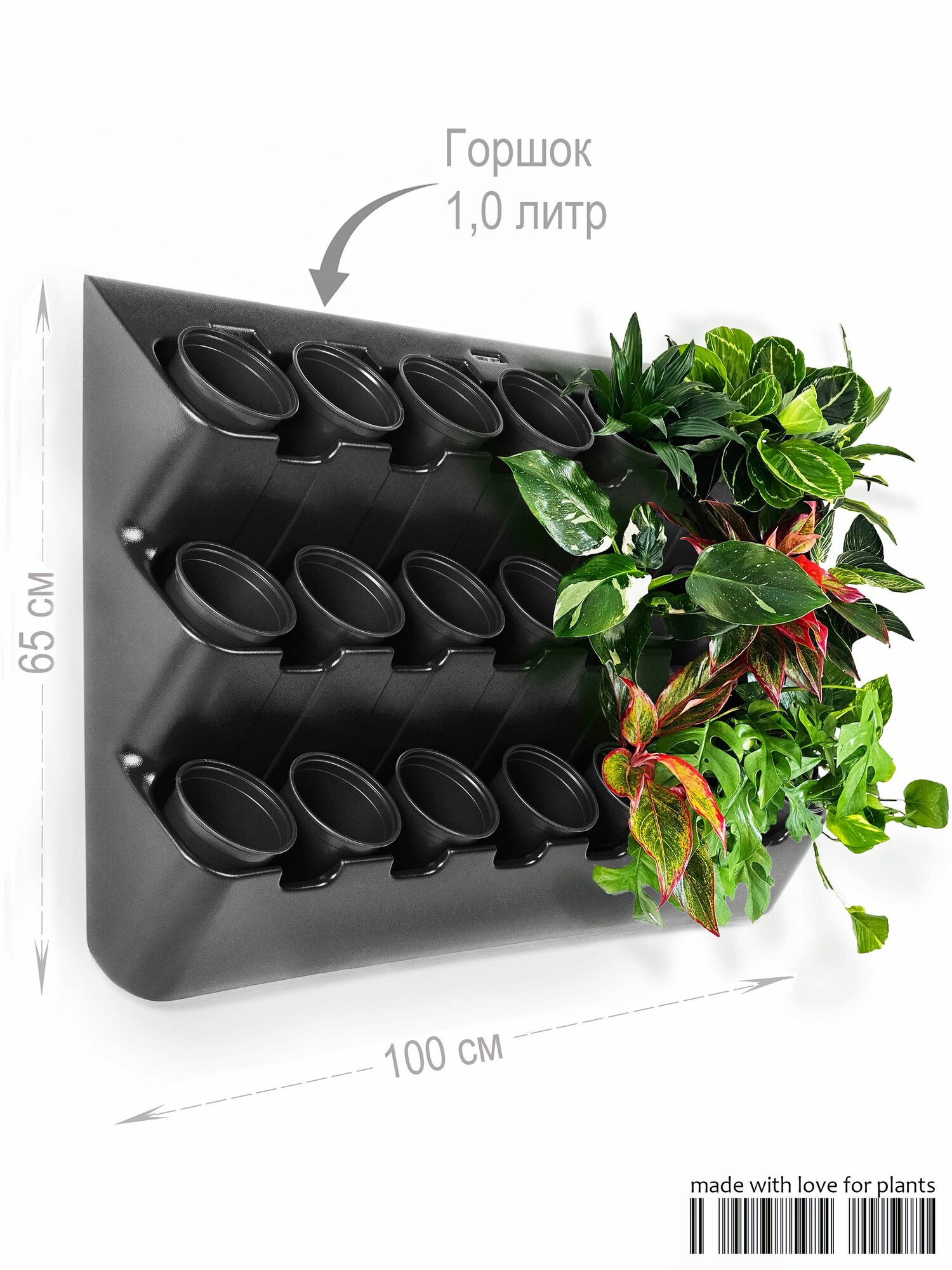 Фитомодуль 