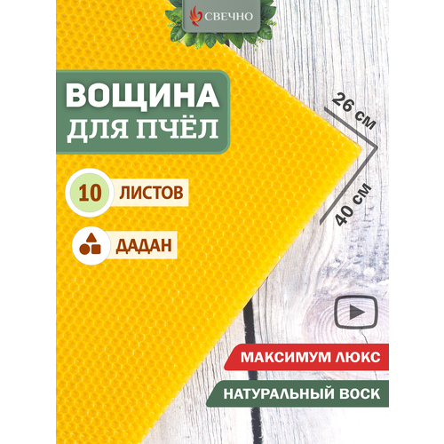 Вощина для пчёл "Дадан Максимум Люкс" Свечно, для пчеловодства и свечей, 40х26 см, 10 листов