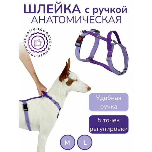 Шлейка с ручкой прогулочная анатомическая для средних и крупных пород собак, CORADOG Quick click, размер L, цвет сиреневый, фиолетовый