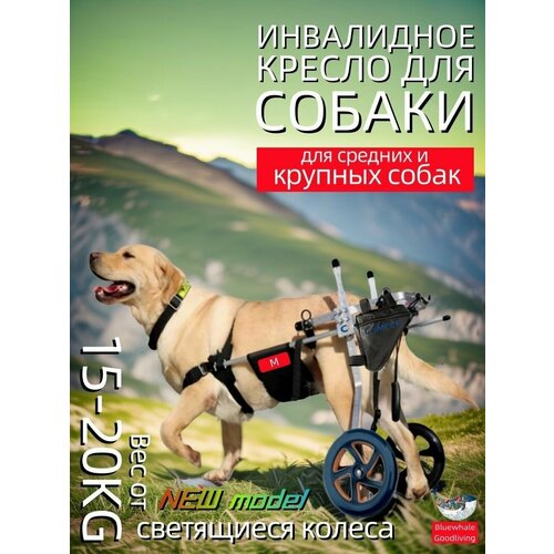 Двухколесная инвалидная коляска для домашних животных. Двухколесная реабилитационная тележка для средних и крупных собак. Для животных с проблемами задних лап и полным параличом. размер M.