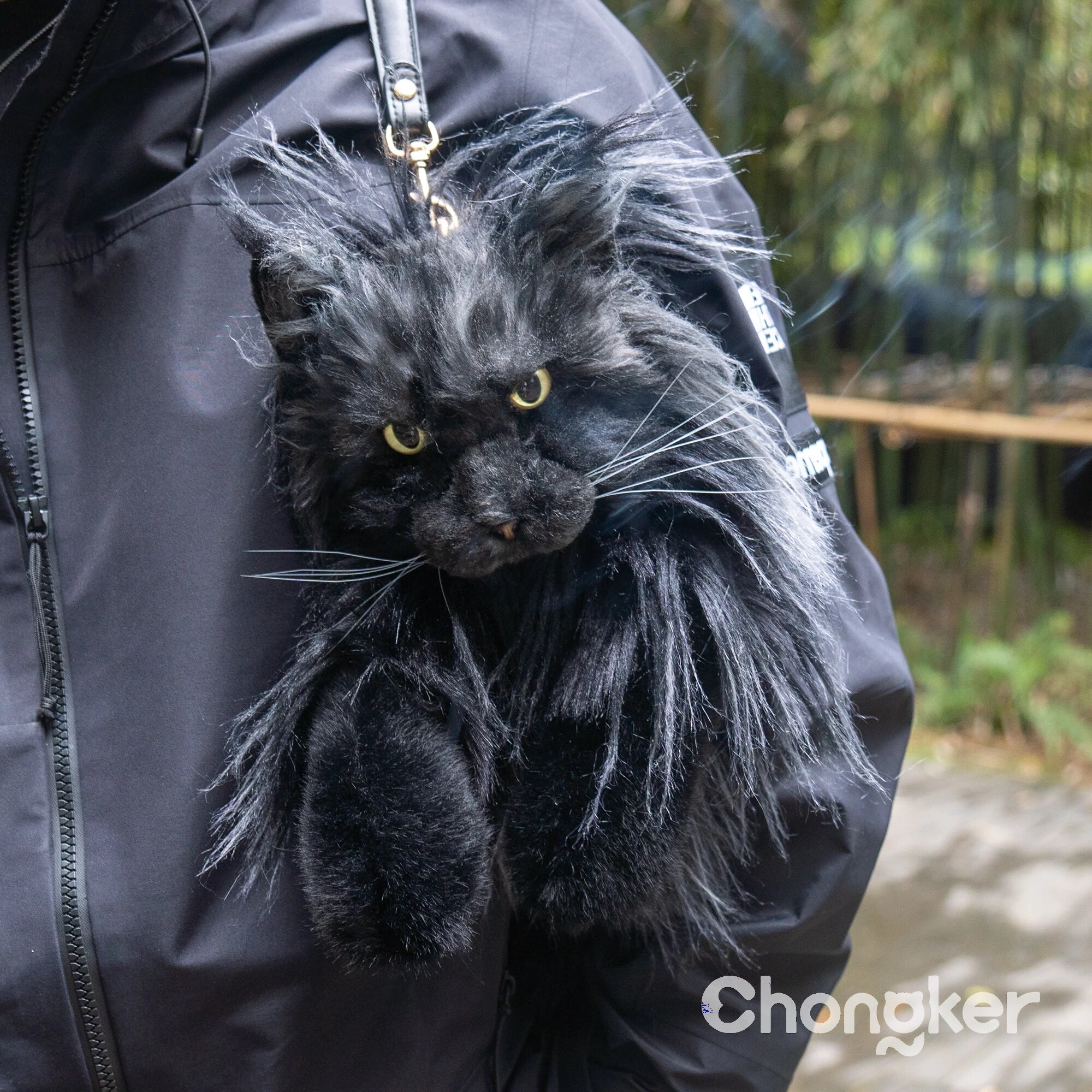 Сумка-рюкзак Chongker