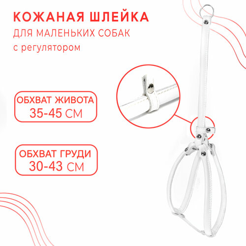 Круглая шлейка для маленьких собак с регулятором / ширина ремней 10 мм/ Белый