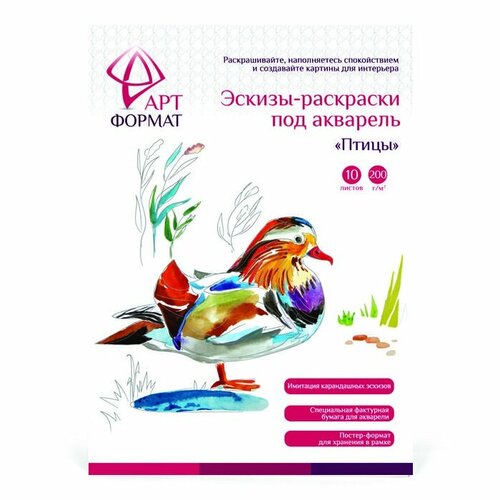 Раскраска-эскиз АРТформат птицы 10 листов А4 акварельная бумага 200 гр в папке 341₽