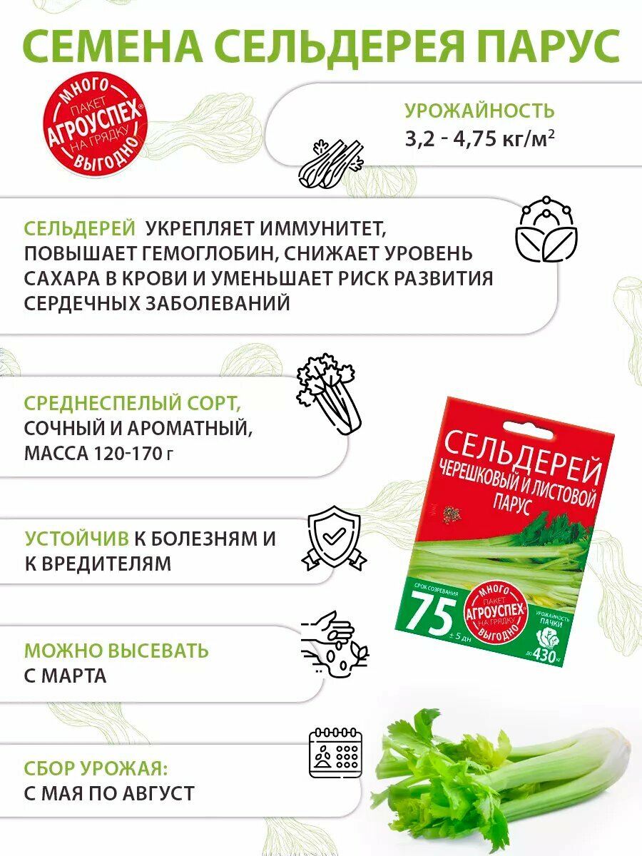 Семена сельдерея Парус черешковый и листовой 2г — фото 1