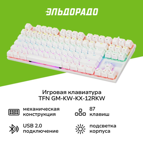Игровая клавиатура TFN GM-KW-KX-12RKW 2699₽