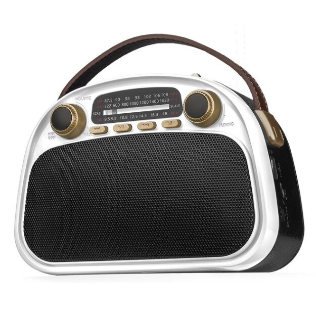 Радиоприемник Ritmix RPR-040 WHITE