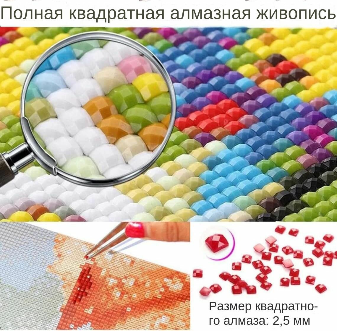 Алмазная картина 