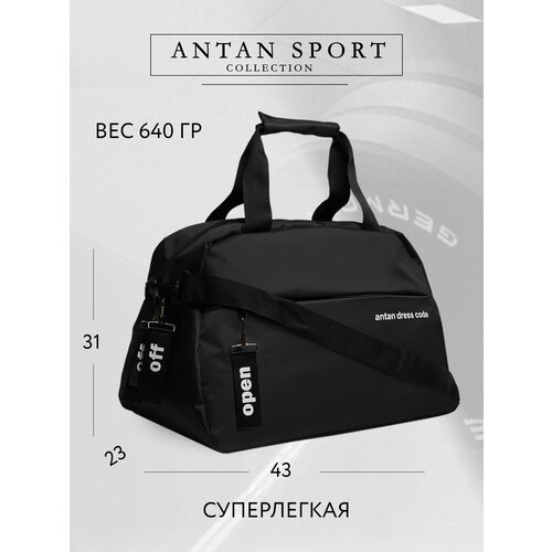 Сумка спортивная Antan 20 л 23х31х43 см ручная кладь черный 3122₽