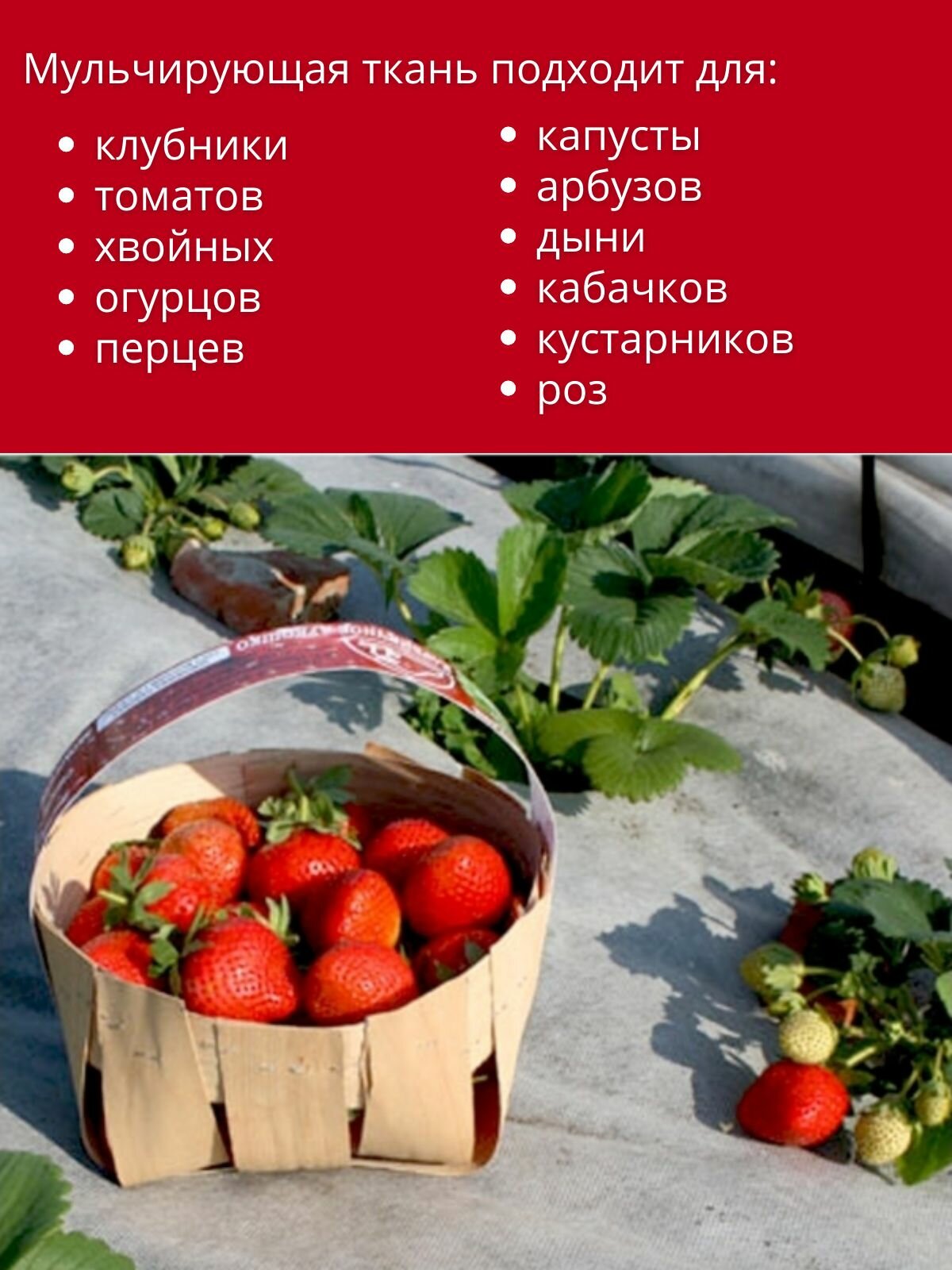 Агроткань от сорняков Агротекс застилочная, черно-белая 80 г/м2 с УФ 1,6 х 5м — фото 1