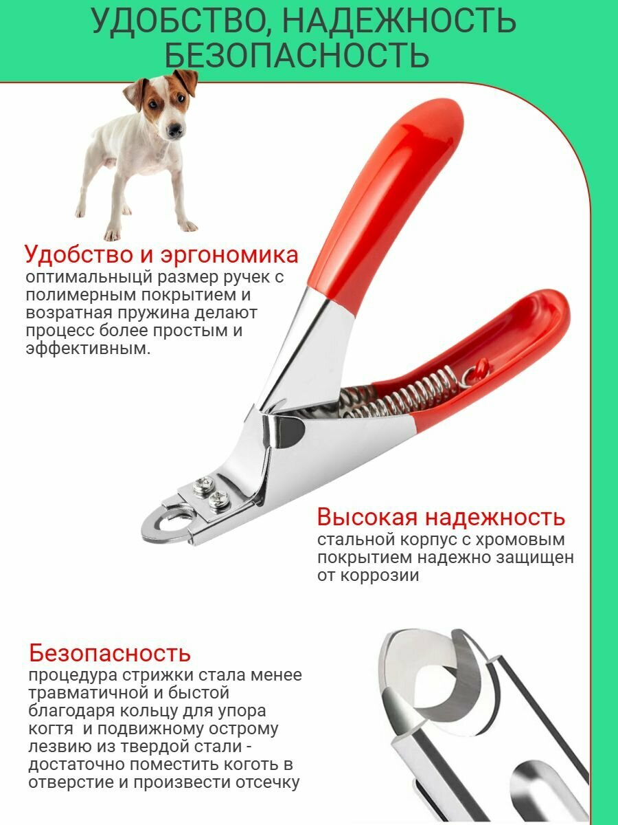 Изображение Ножницы когтерезка для стрижки когтей собак, кошек, кроликов