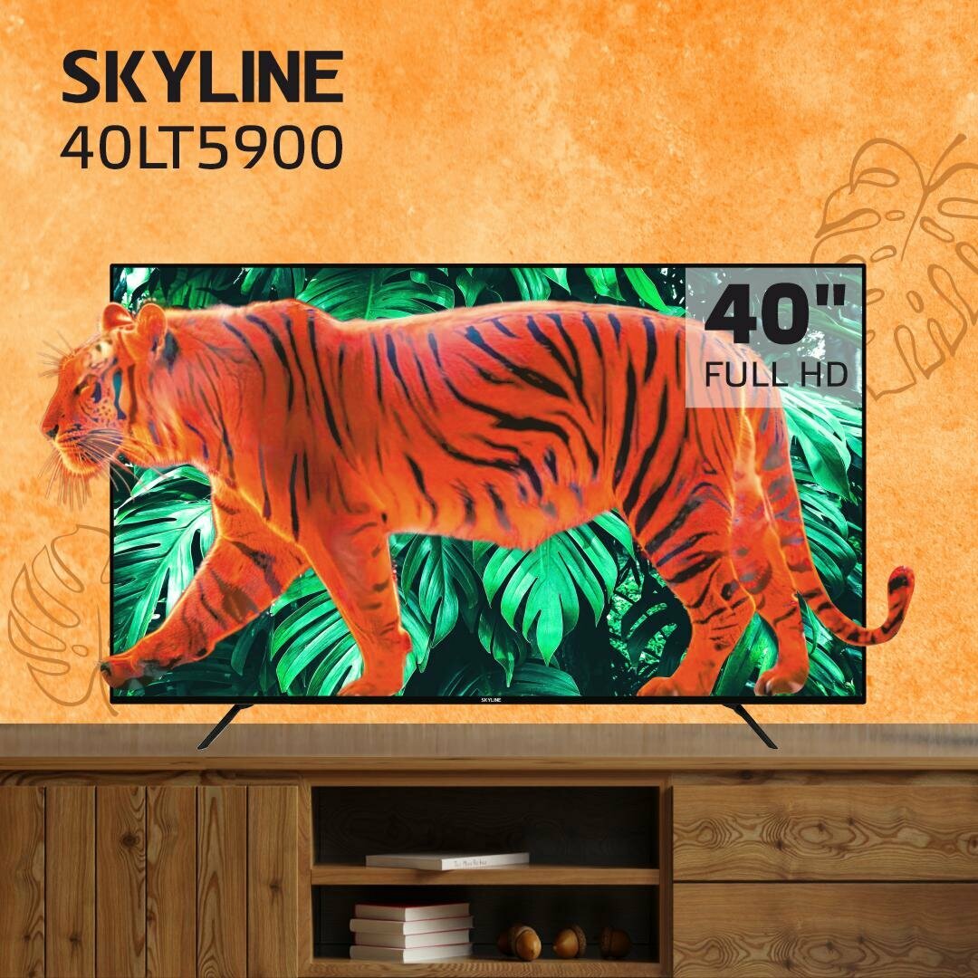 Телевизор SKYLINE 40LT5900 / диагональ 40 дюймов / FULL HD / 50 Гц, черный