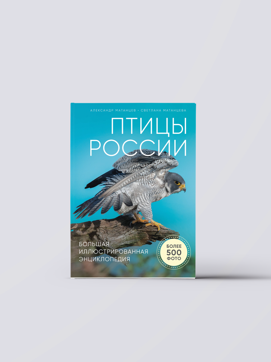 Птицы России. Большая иллюстрированная энциклопедия | Александр Матанцев