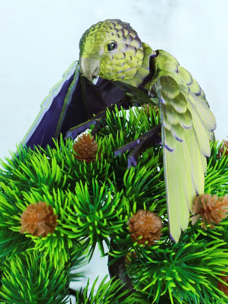 Попугай игрушка детская подвижная птичка