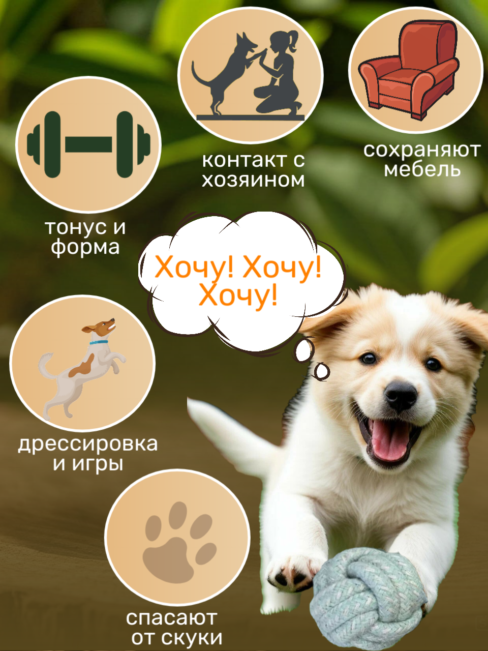 Игрушки для собак мелких, средних пород и щенков/ набор игрушек из каната 6 шт — фото 1
