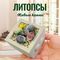 Литопсы