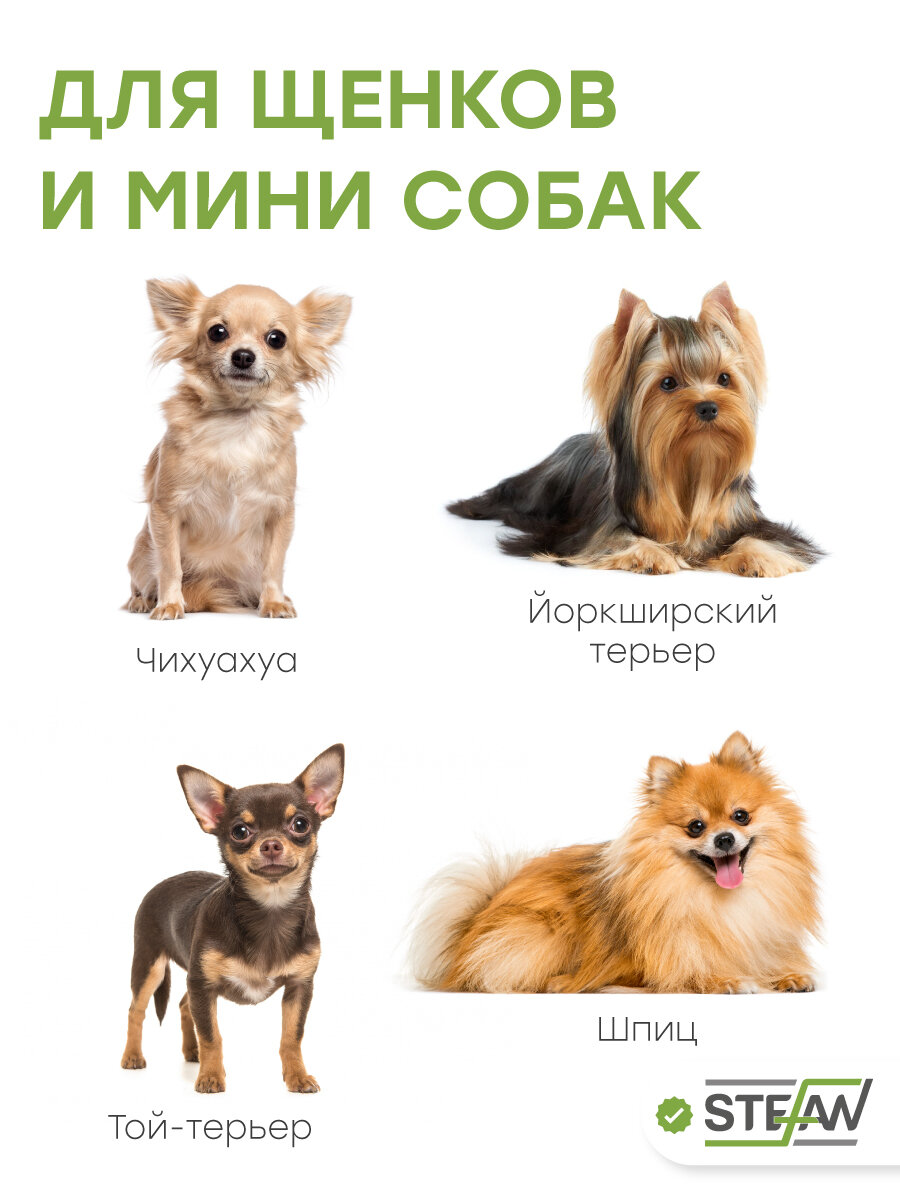 Лоток для щенят с сеткой мини (XS) STEFAN (Штефан) размер 46х34см, цвет серый BP1041 — фото 1