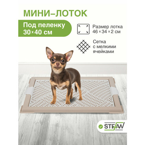 Лоток для собак с сеткой мини (XS) STEFAN (Штефан) размер 46х34см, бежевый, BP1043