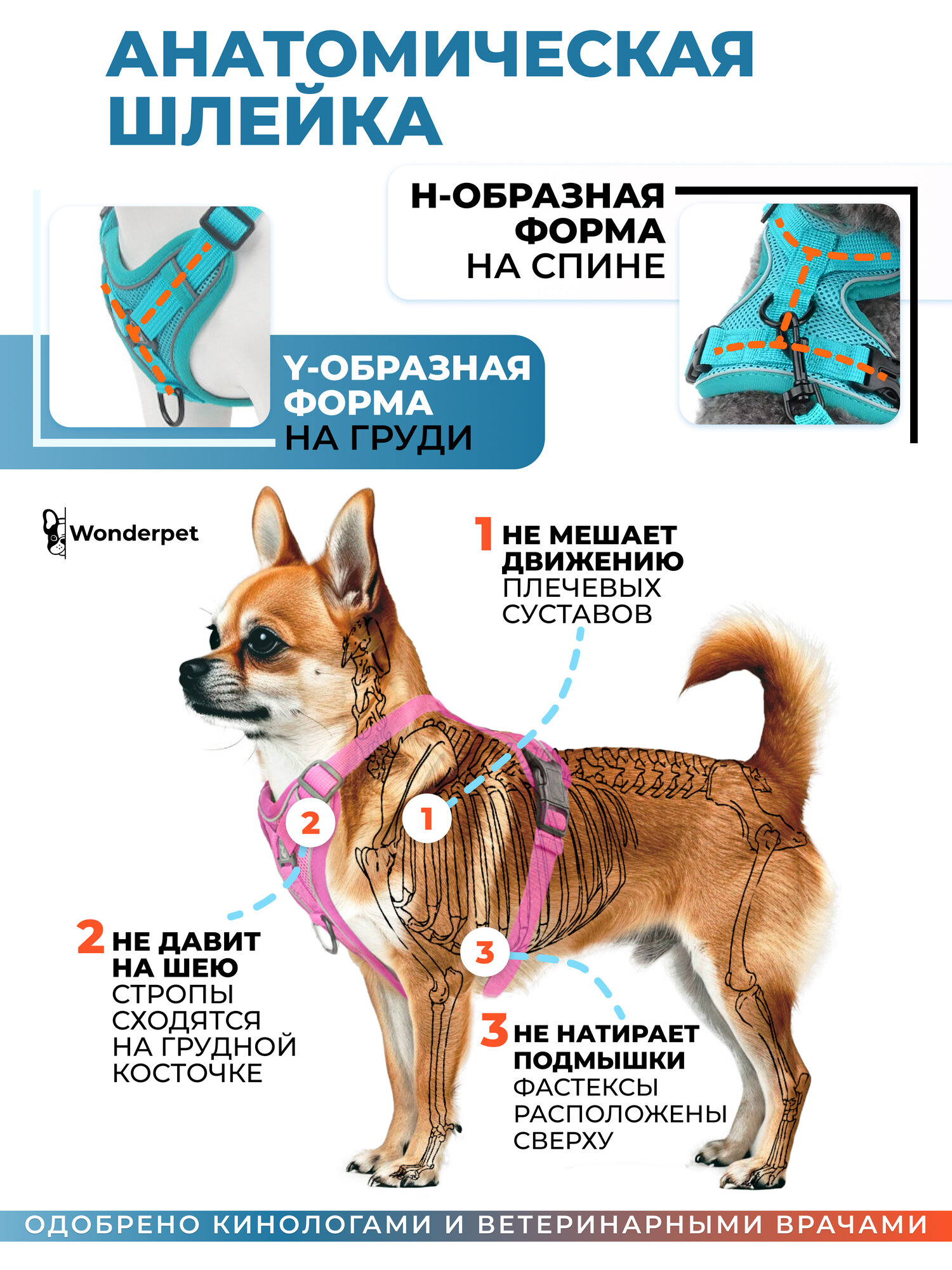 Шлейка прогулочная для собак и кошек регулируемая Wonder Pet / размер M / бирюзовая — фото 1