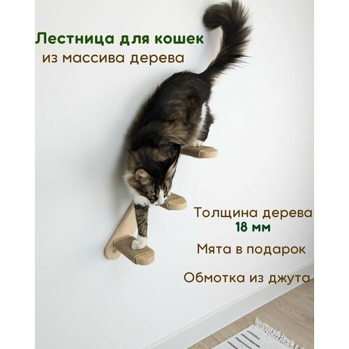 Лесенка для кошек настенная 50 см, мостик, 50 см, правая, WowWood