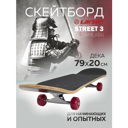 Детский скейтборд Larsen Street 3 разноцветный 31 