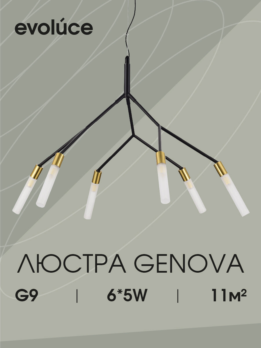 Светильник подвесной, подвес Evoluce Черный/Латунь/Белый G9 6*5W SLE1129-403-06