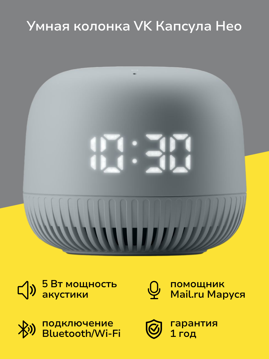 Умная колонка VK Капсула Нео серая (VKSP11GY)