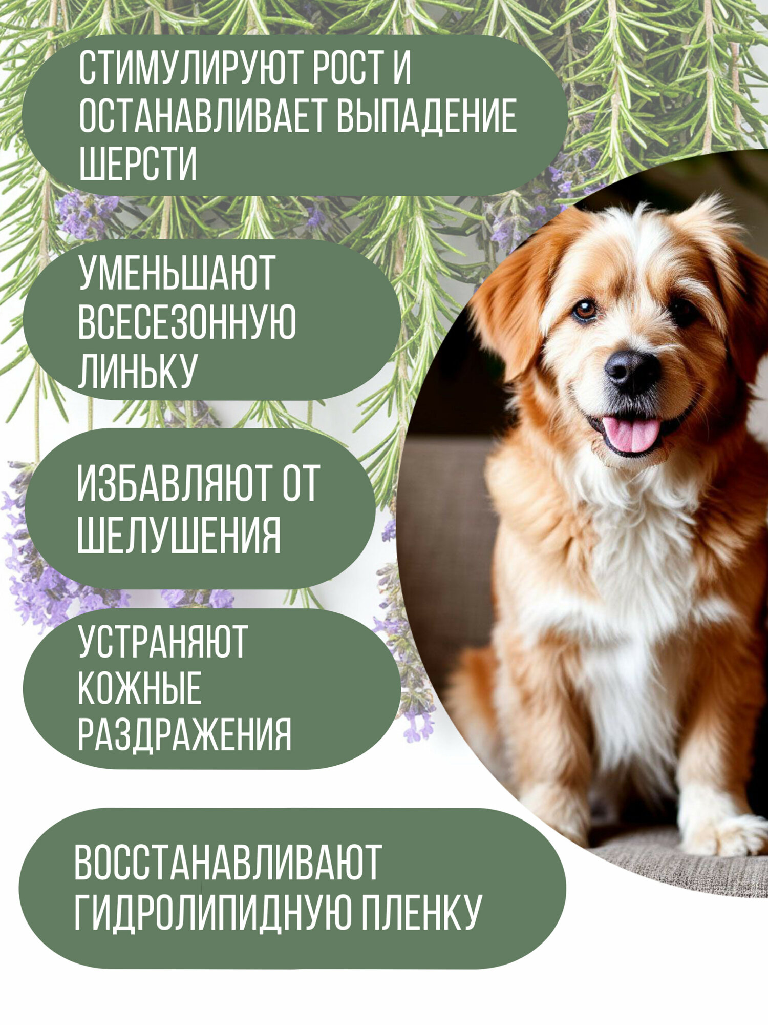 Капли Др. Эсенциали для комплексного ухода за кожей собак от 20 до 40 кг, 4 пипетки — фото 1