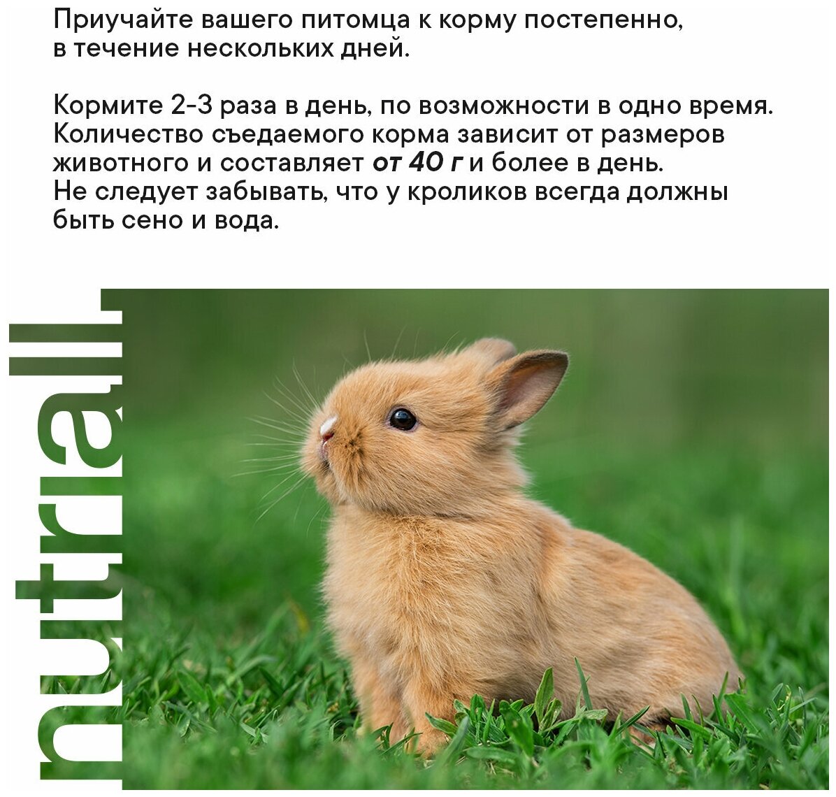 Полнорационный корм Nutriall для кроликов с Фруктами 900 грамм — фото 1