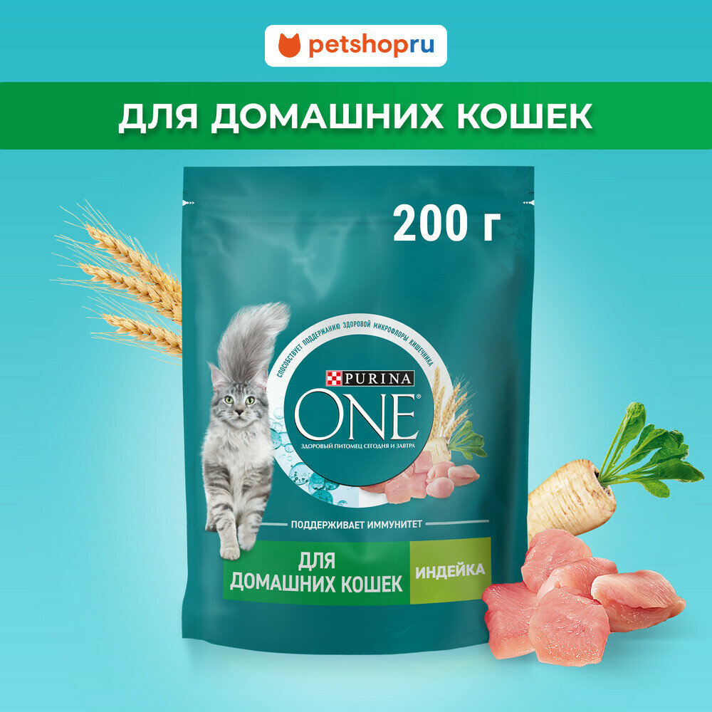Purina ONE Сухой корм для взрослых кошек, живущих в домашних условиях, с высоким содержанием индейки и злаками, 200г