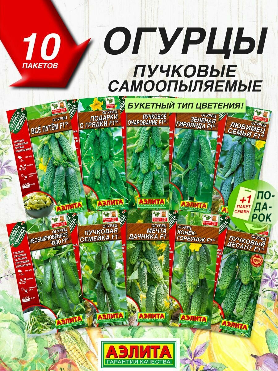 Семена овощей Аэлита Огурцы пучковые 10 сортов / Семена Огурцов