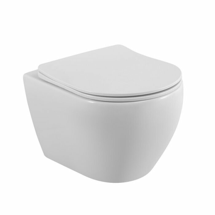 Унитаз подвесной Cezares Stylus CZR-513-TH-R безободковый сиденье CZR-089-SC с микролифтом