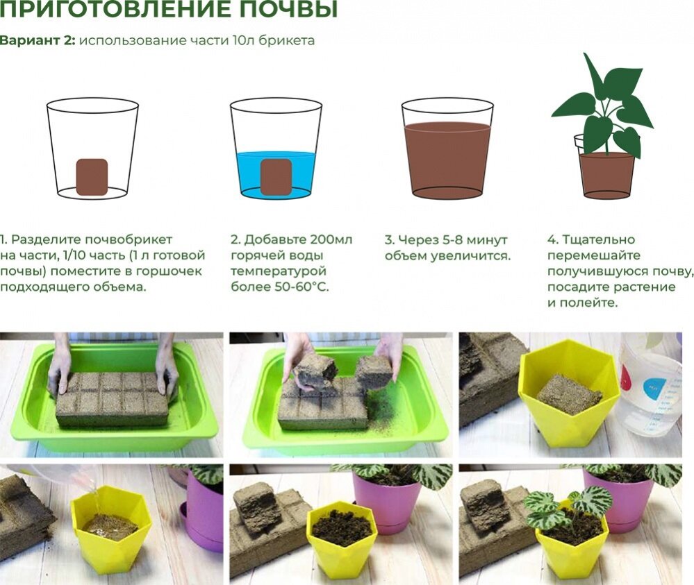 БиоМастер Почвобрикет Бегония 2,5 л, круглый БиоМастер - фотография № 9