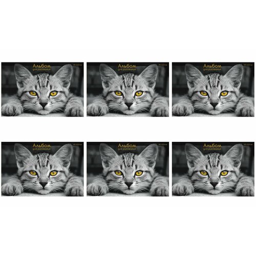 Listoff Альбом для рисования А4 Взгляд кота, скрепка, мелованный картон, 40 листов,6 шт