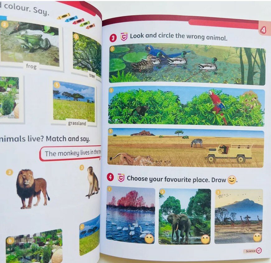 Super Minds. Workbook. Starter (книга на английском языке) - фото №5