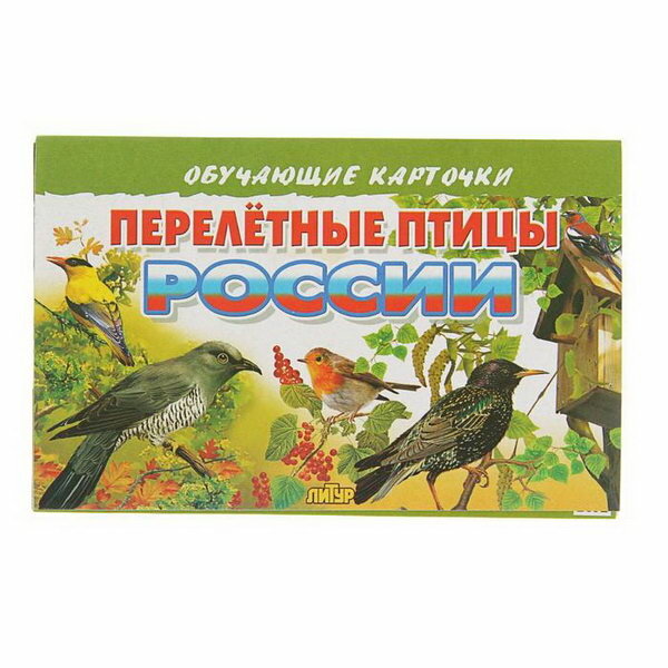 Обучающие карточки "Перелётные птицы России", 16 карточек