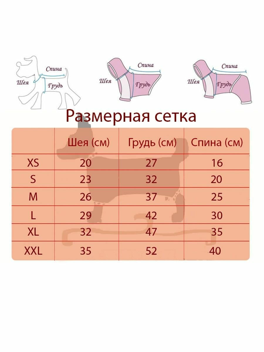 Толстовка для собак мелких пород Arnydog "Байк" цвет серый, M (25 см) - фотография № 4