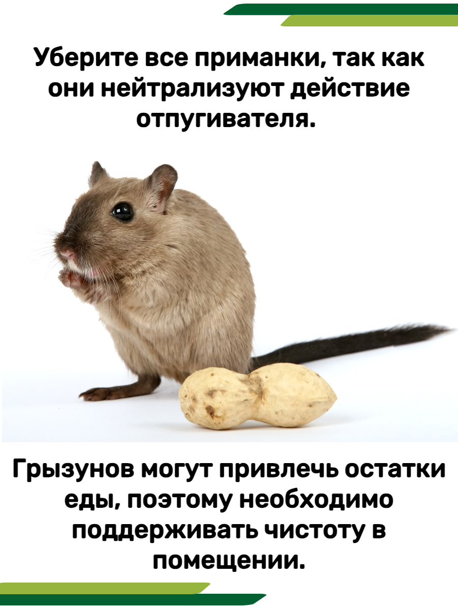 Ультразвуковой отпугиватель мышей Цунами 2Б - фотография № 12