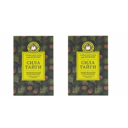 Рецепты бабушки Агафьи Подарочный набор для мужчин Сибирская Травница Сила Тайги шампунь и гель для душа 2 шт 939₽