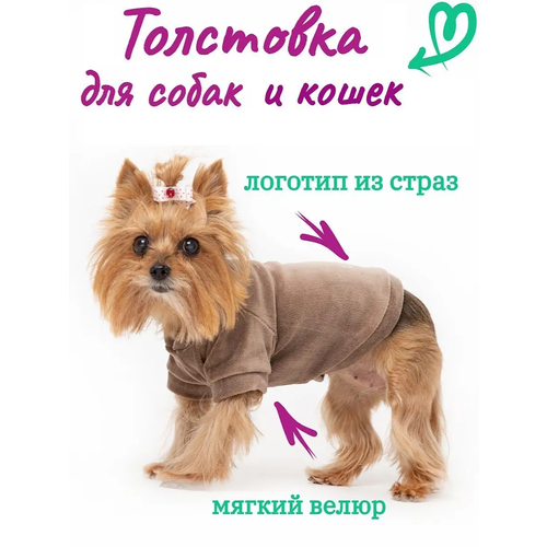 Толстовка для собак и кошек, р. 35 (мокко), длина изделия 30-32 см
