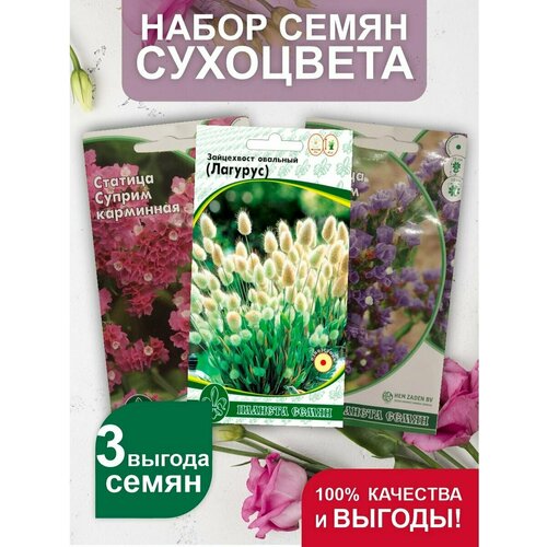 Сухоцветы однолетние, набор