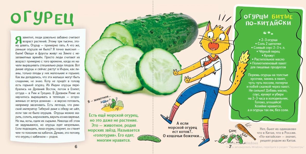 Кот Брюс и фрукты-овощи (Егорова София Евгеньевна) - фото №8