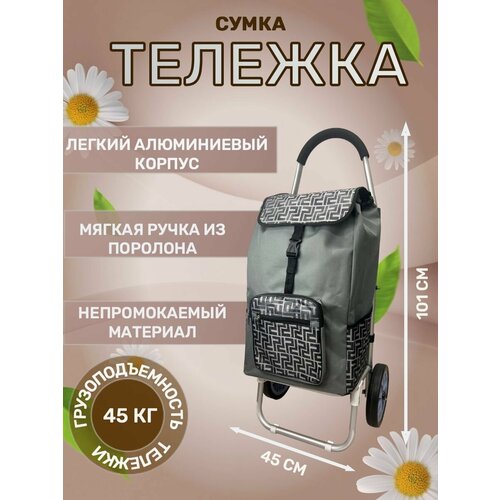 фото Сумка-тележка 208 сер, 50 л, 45х101х27 см, ручная кладь, серый нет бренда