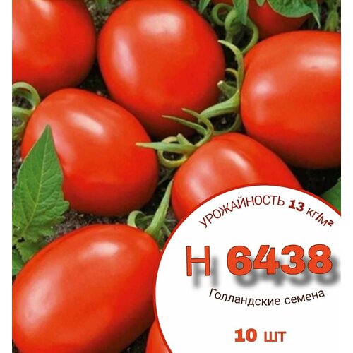 Профессиональные семена томатов Н 6438 F1 10 шт. Для балкона, теплиц и открытого грунта.