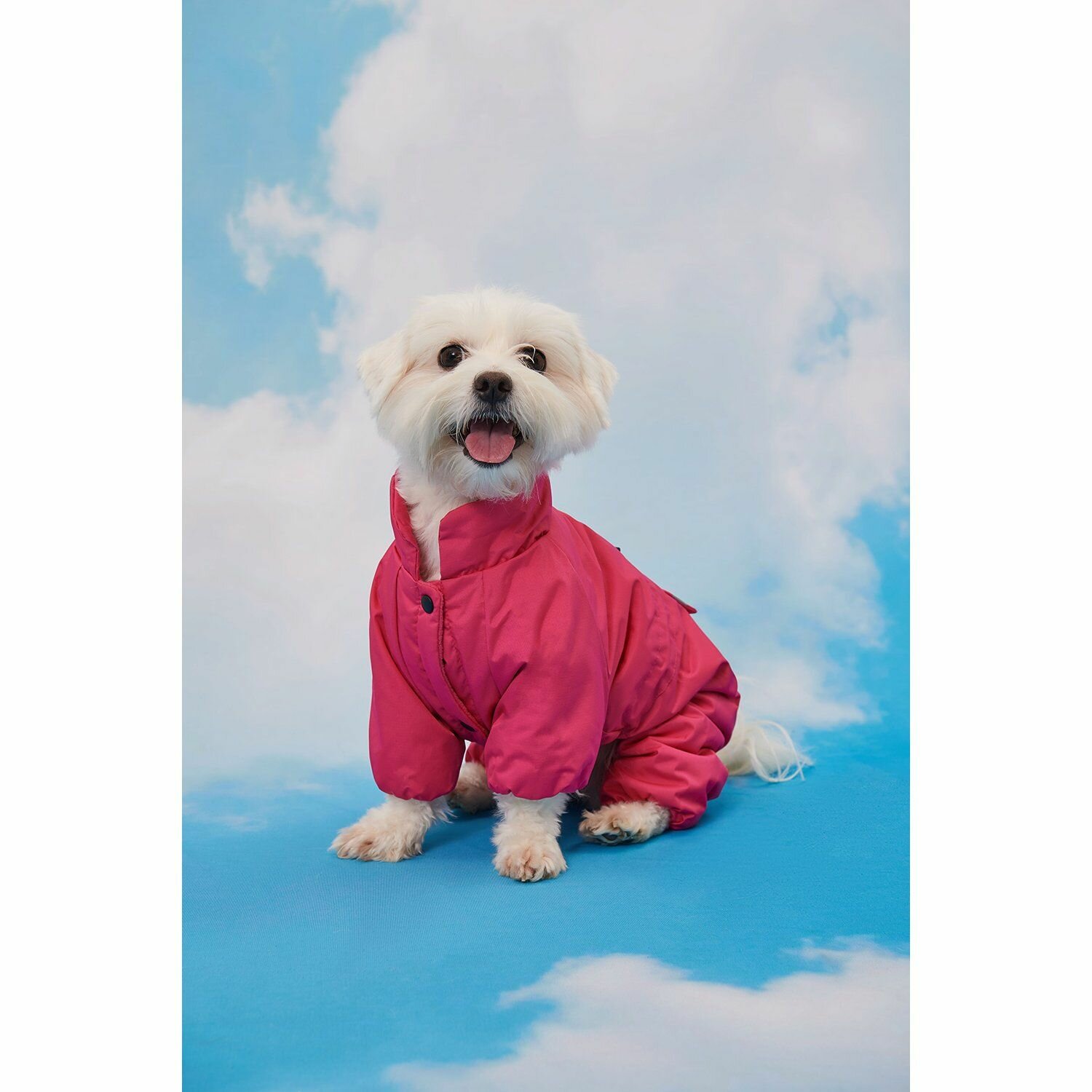 Утеплённый комбинезон для собак Zoozavr розовый 45 - фотография № 9