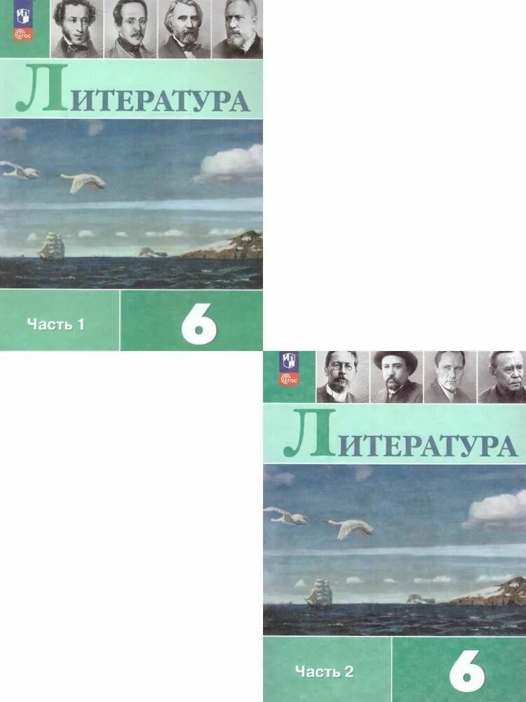 Полухина В. П, Коровина В. Я. Литература 6 класс Учебник в 2-х частях (Комплект)